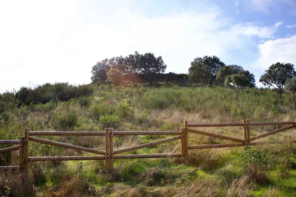 Fortaleza de Salvaleón